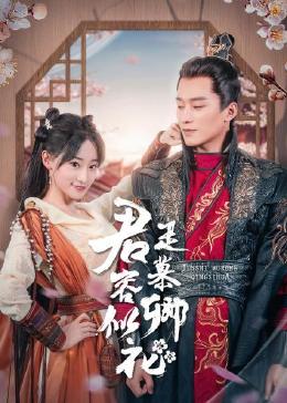 围城电影版 封面图