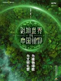 灵幻至尊 封面图